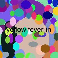 yellow fever in